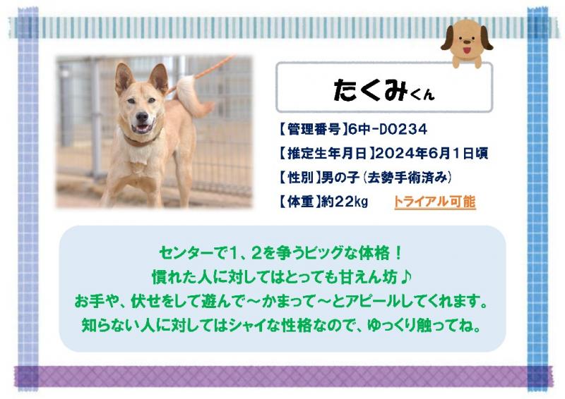 たくみ