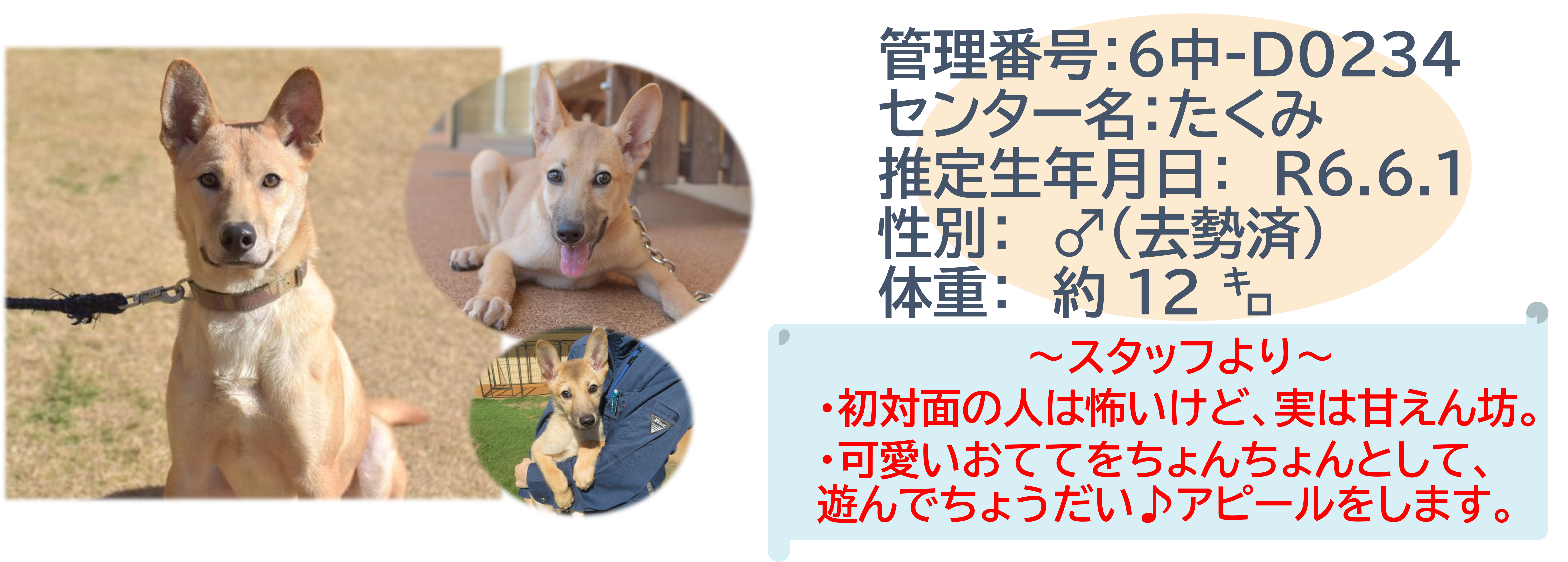 たくみ