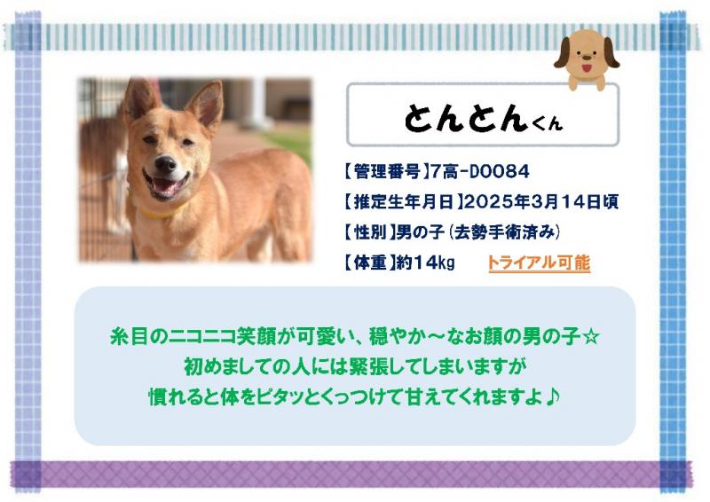 とんとん