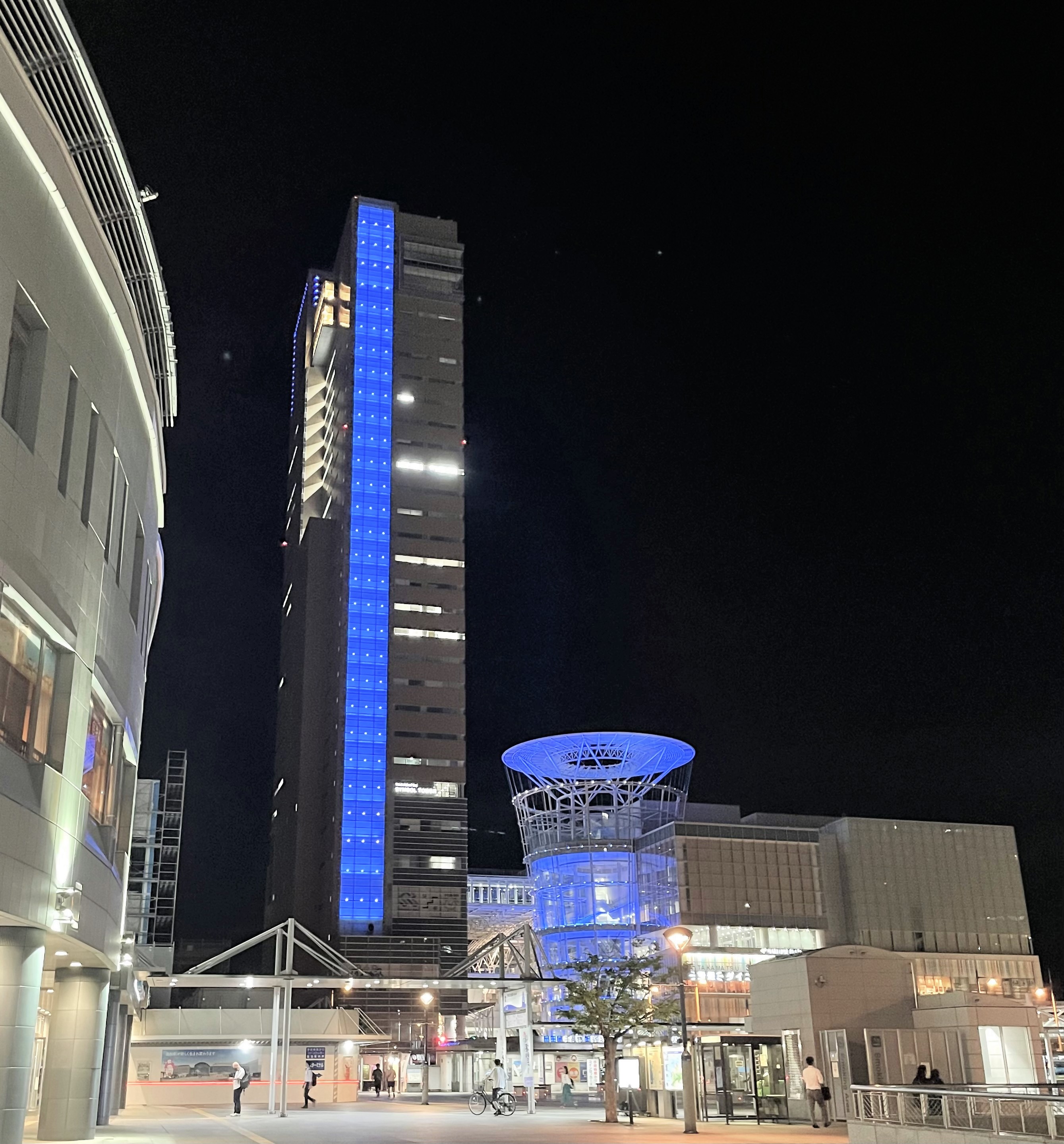 image_50399745