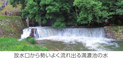 知事レポ