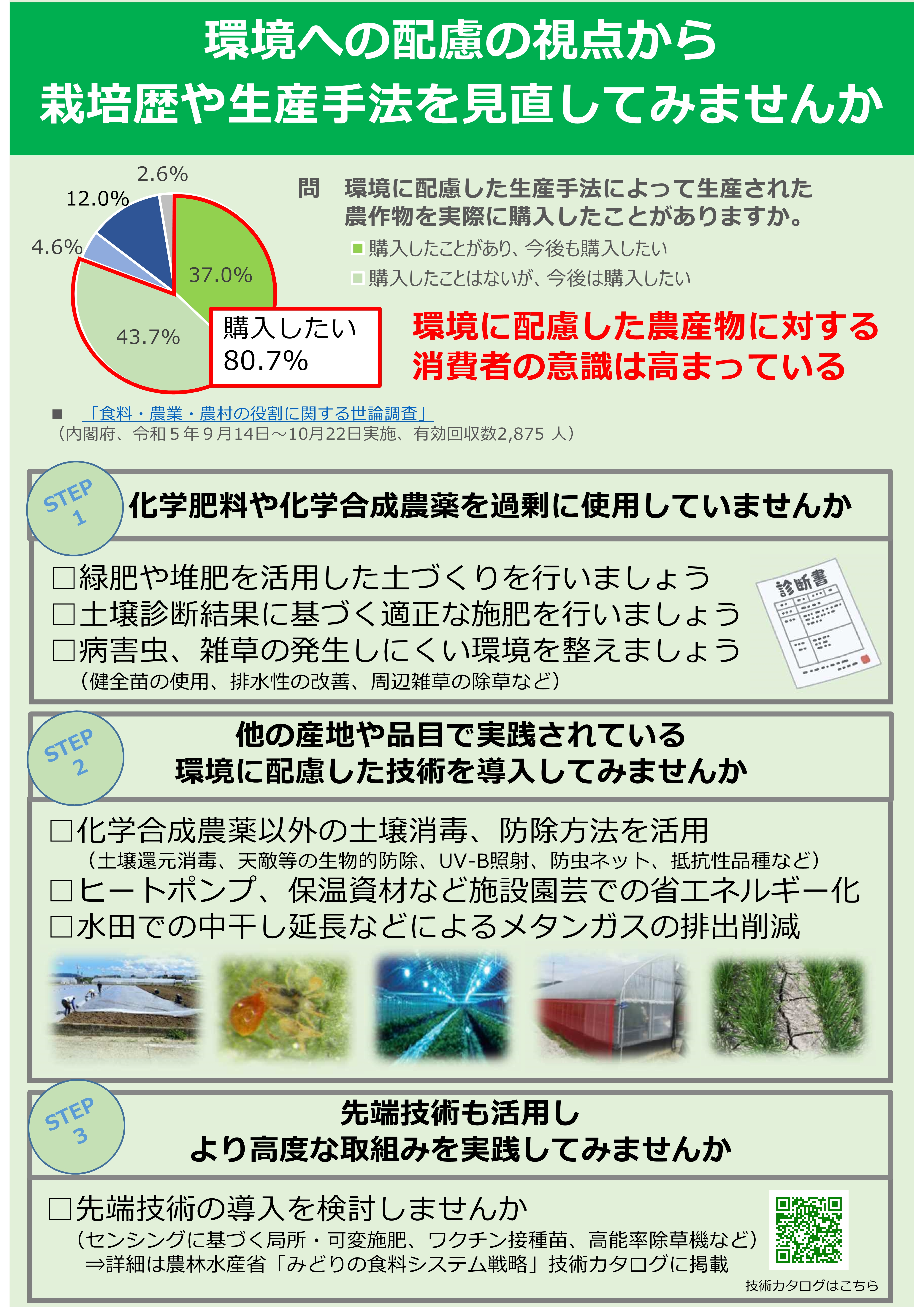 midori1