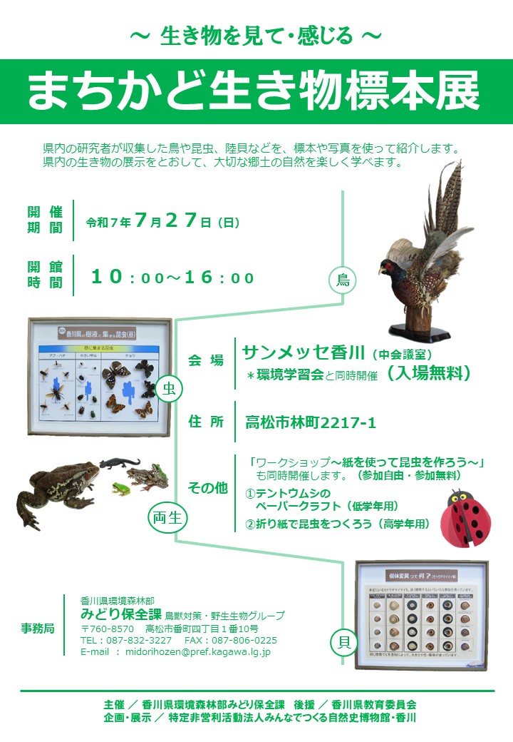 まちかど生き物標本展