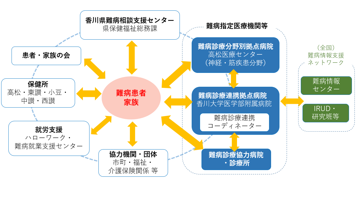 nanbyounetwork