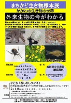 まちかど生き物標本展