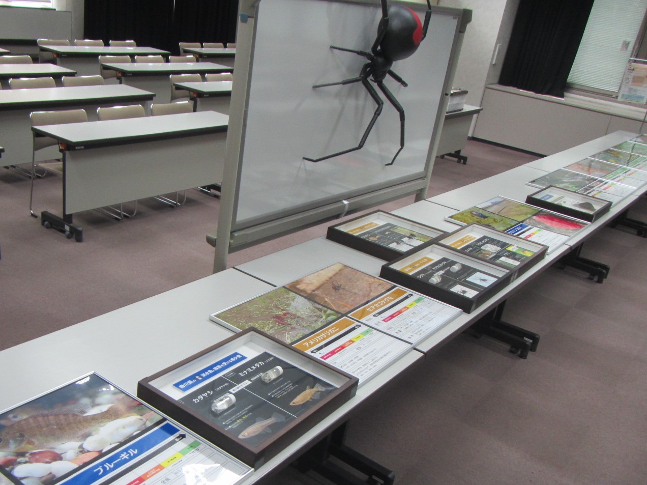 みんなでつくる自然史博物館・香川展示