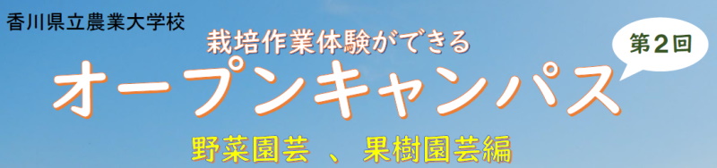 6月8日オープンキャンパス