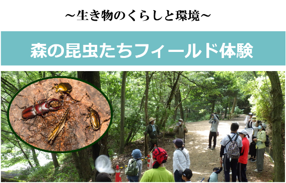 公渕公園での昆虫観察会
