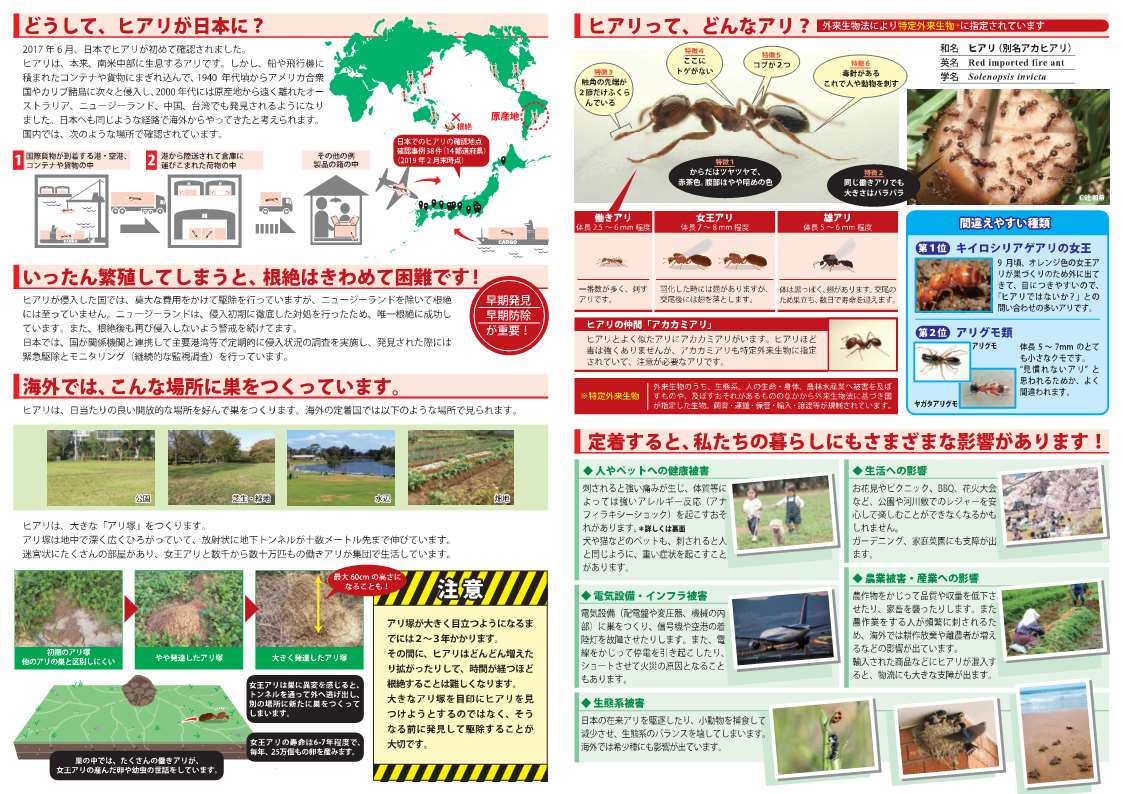 ストップザヒアリ2