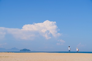 青い風に吹かれて