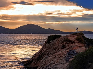 夏が待ち遠しい。