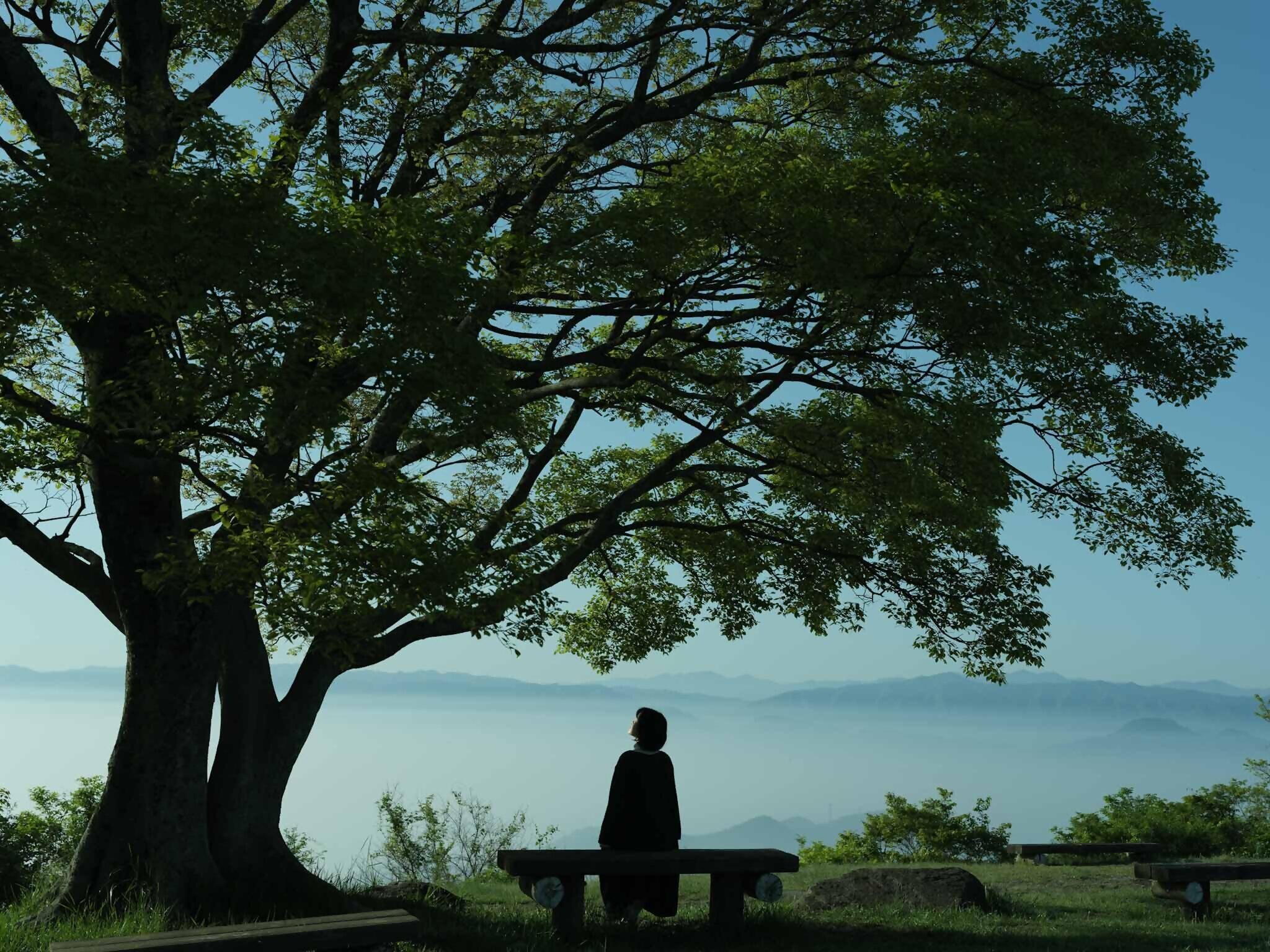 雲海