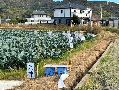 ボランティア展示