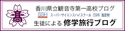 観音寺第一高等学校　修学旅行ブログの画像