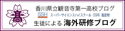 観音寺第一高等学校　理数科海外研修ブログの画像