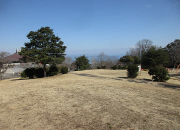 芝生
