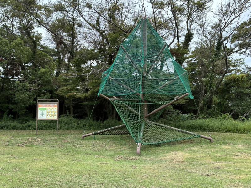 やまびこの樹