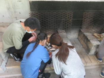 立五色台少年自然センター野外炊事場の写真