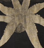 岡村桂三郎「眼蛸10-4」2010年