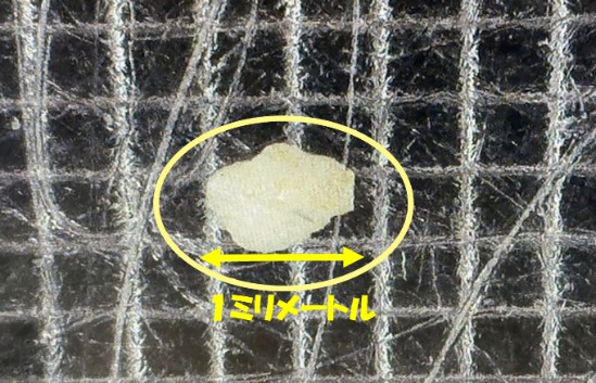 マイクロプラスチック見本