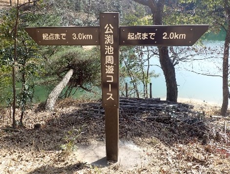 誘導標式写真