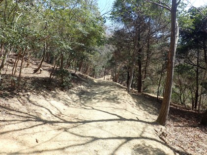 遊歩道1