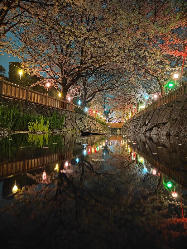鹿の井出水
