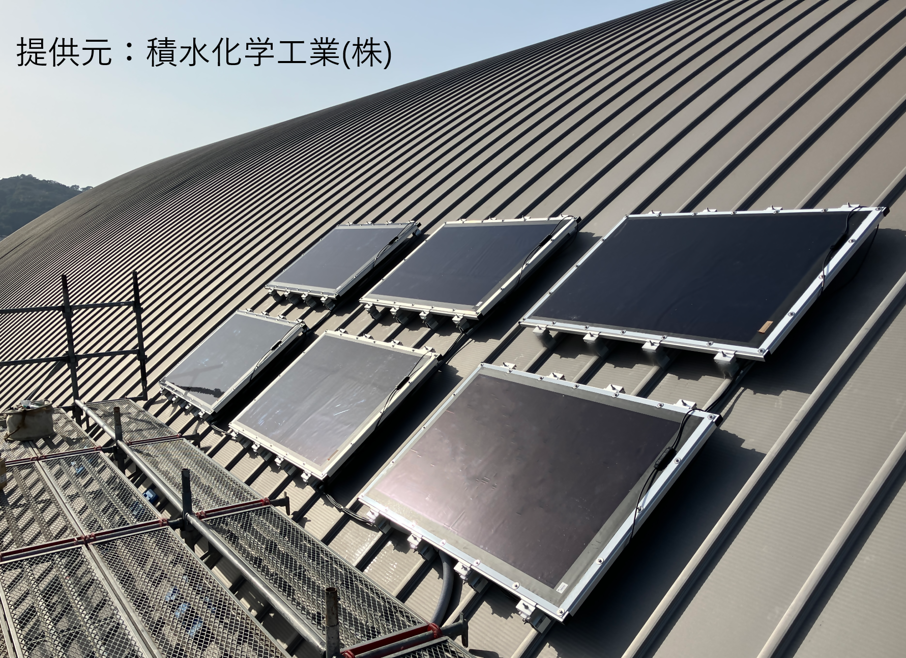 体育館屋根
