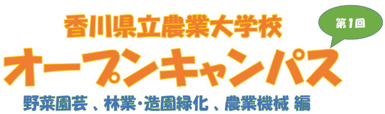 タイトル