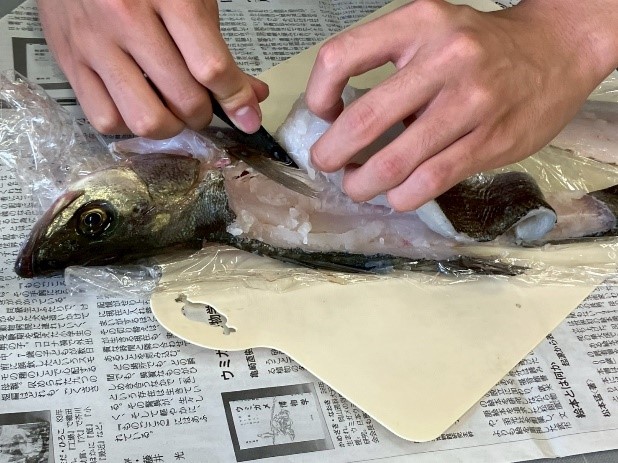 サヌカイト石器で魚を捌く練習も。