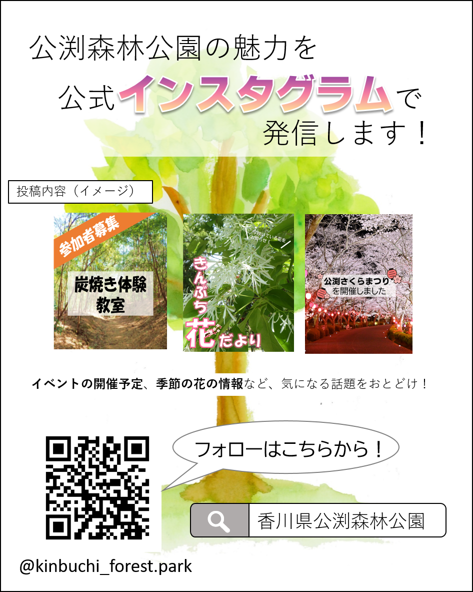 公渕森林公園インスタグラム