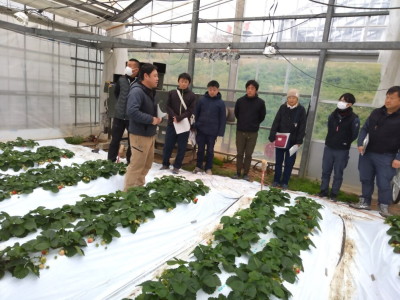 ほ場で栽培状況の説明