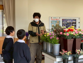 生産者からカーネーションの説明