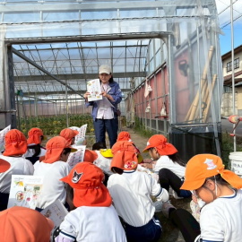 香川の花を紹介