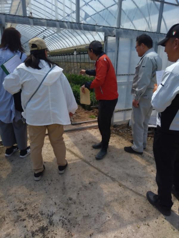 農場訪問