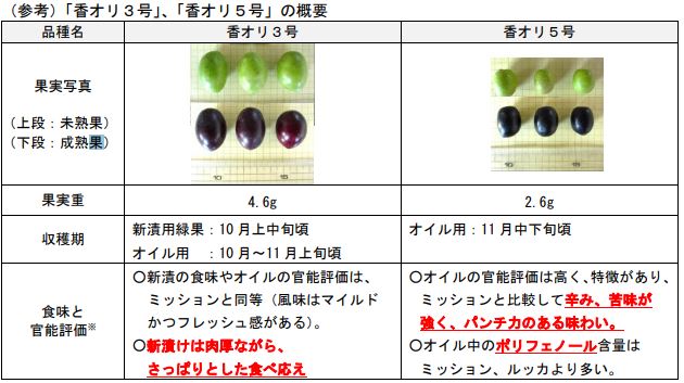 募集4