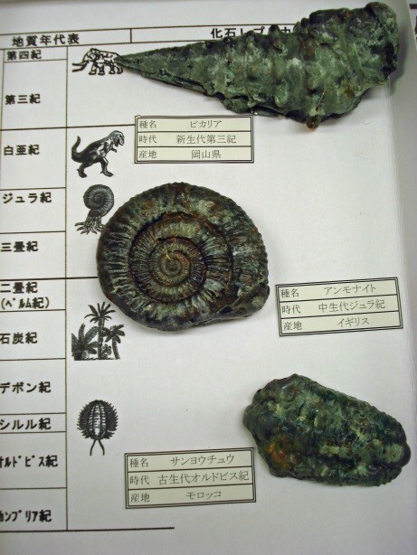 募集3