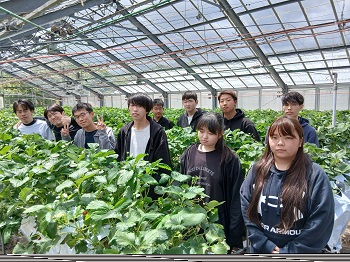 野菜集合