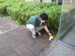 hoidai_hachi4