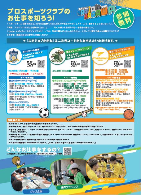 チラシ裏面