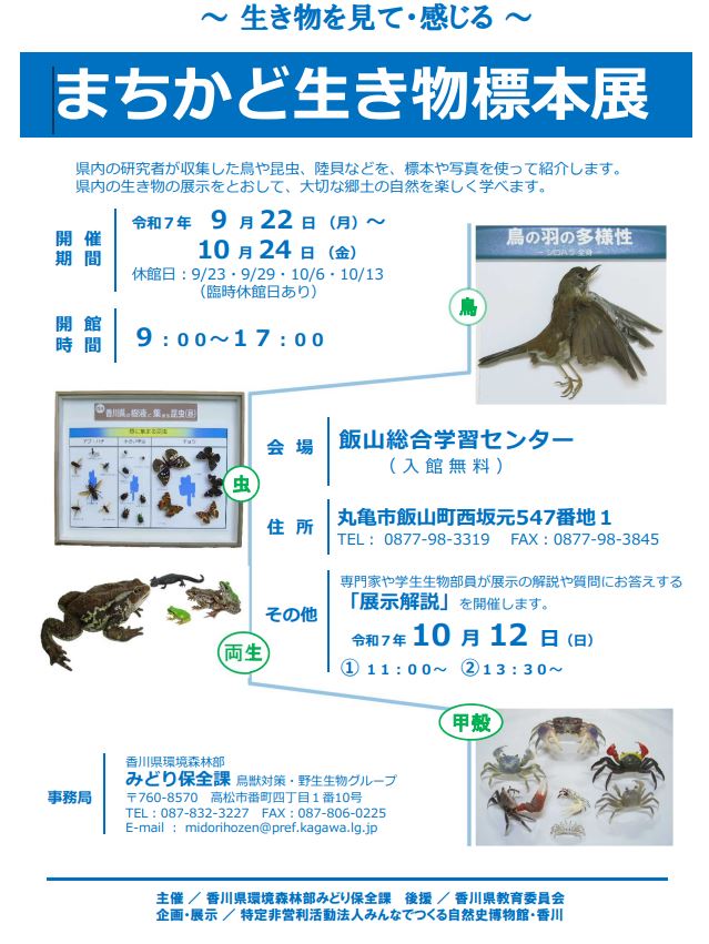 標本展のチラシ