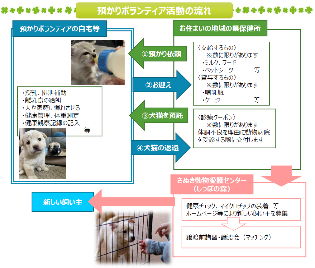 預かりボランティアの活動