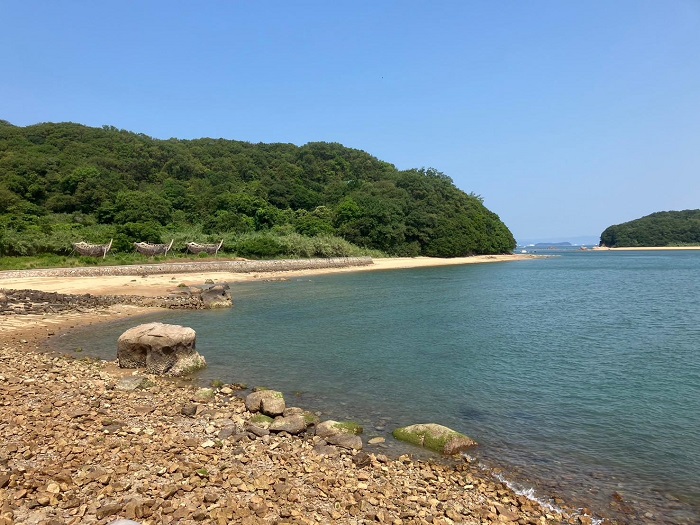 青い海