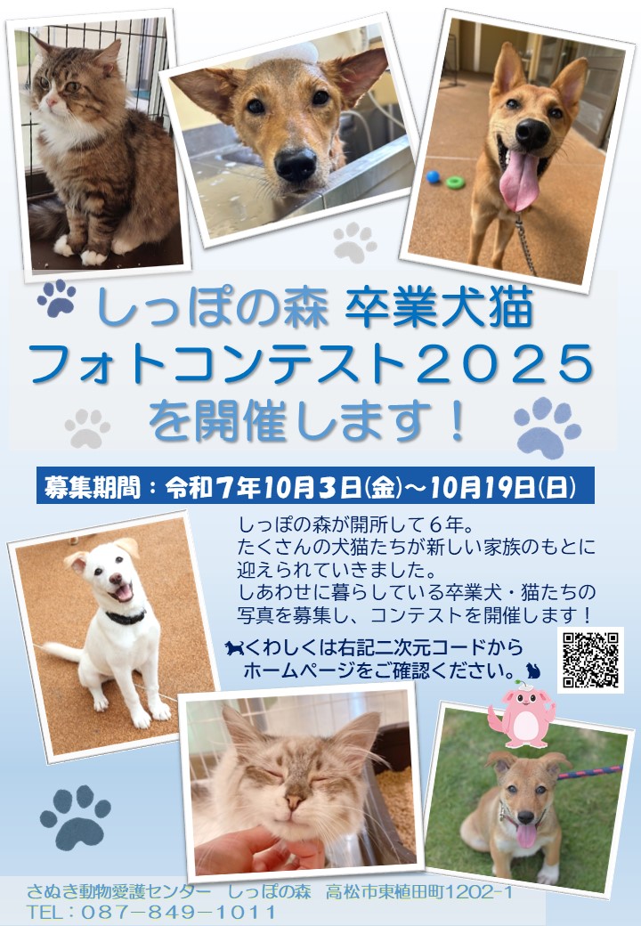 しっぽの森卒業犬猫フォトコンテスト2025チラシ