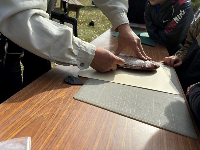 サヌカイト石器使用体験