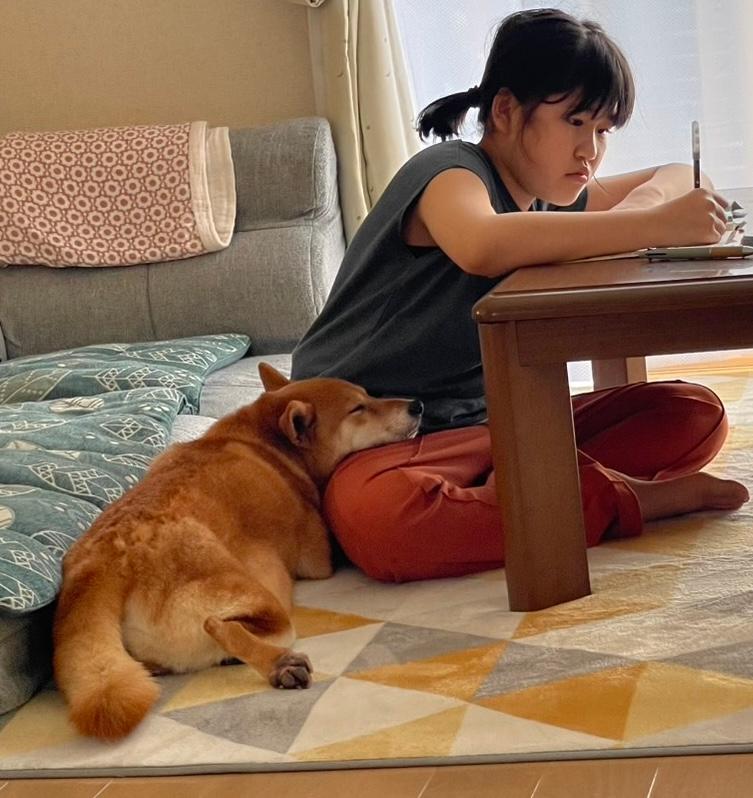 フォトコンテスト2025優秀賞1(犬部門)