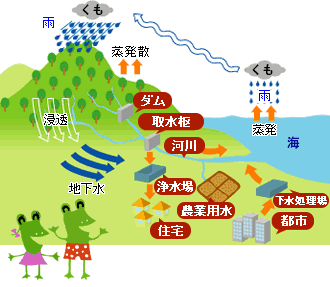 水循環のイメージ図