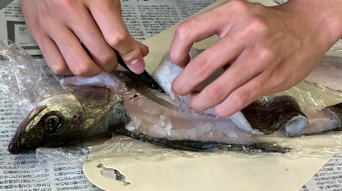 サヌカイト石器使用体験