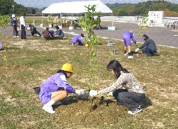 植樹の様子（県植樹祭）