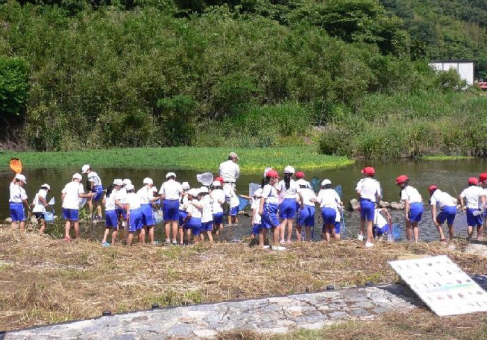 子どもたちによる水質調査の様子